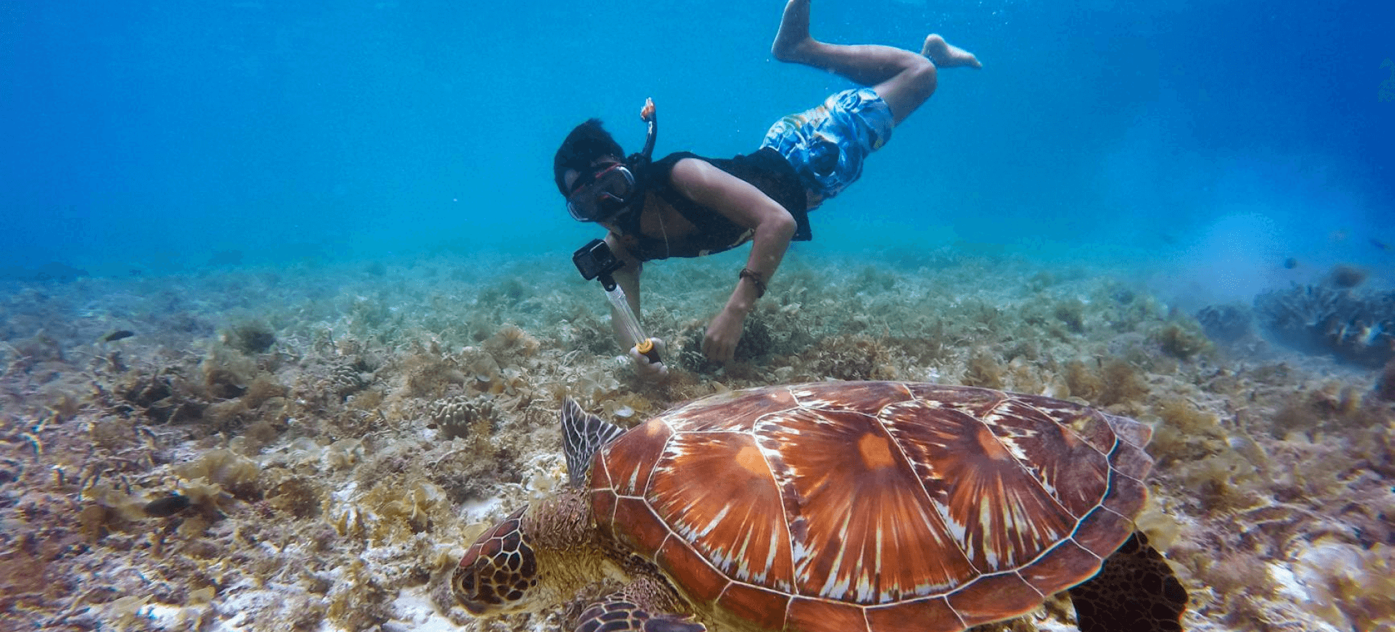 Snorkeling Adventure Tour